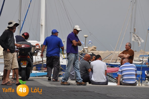 mina2yaffan51i (22).JPG